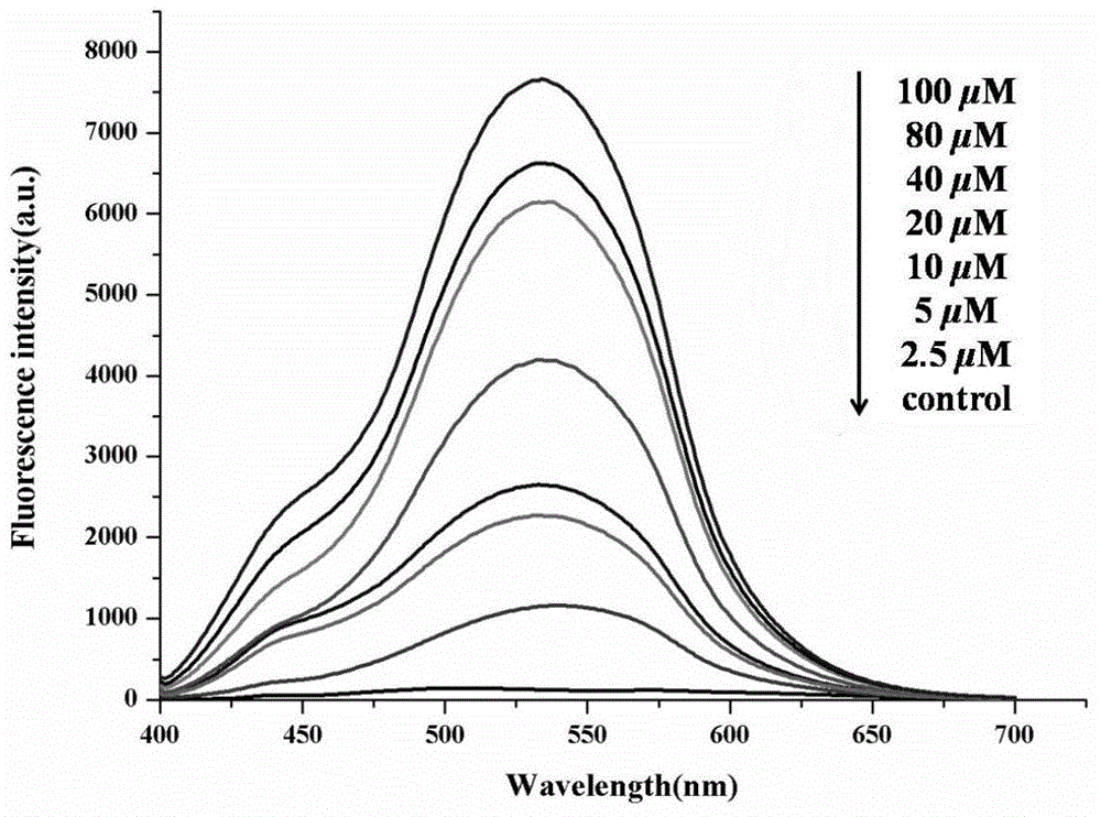 Fluorescent probe for detecting human serum albumin and preparation method thereof