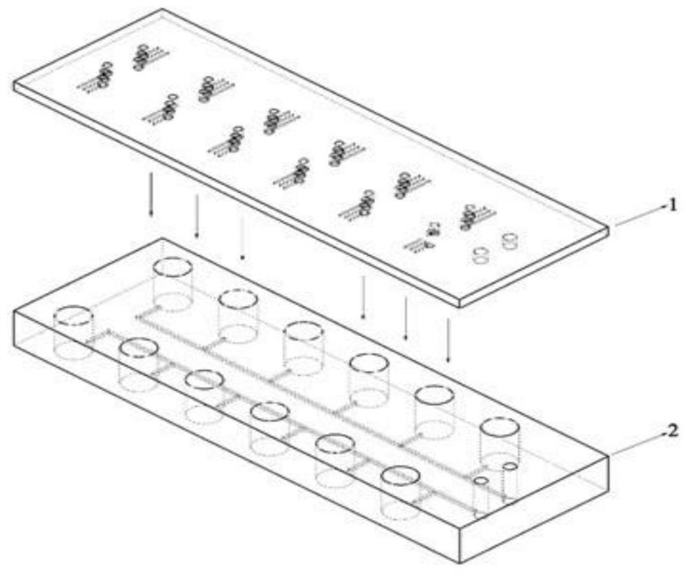 Double-layer micro-fluidic chip and kit and method for detecting novel coronavirus