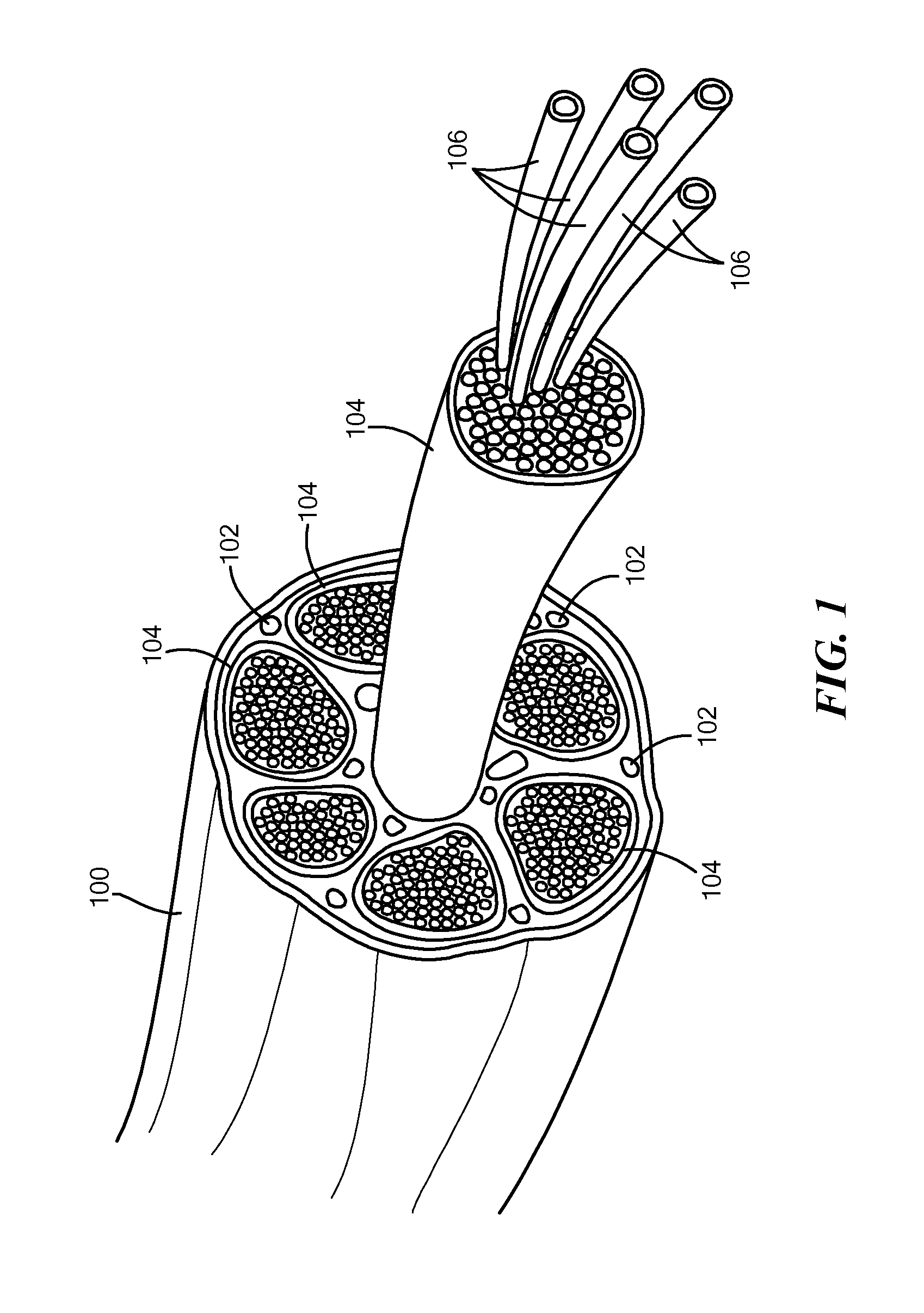 Multi-layered micro-channel electrode array with regenerative selectivity