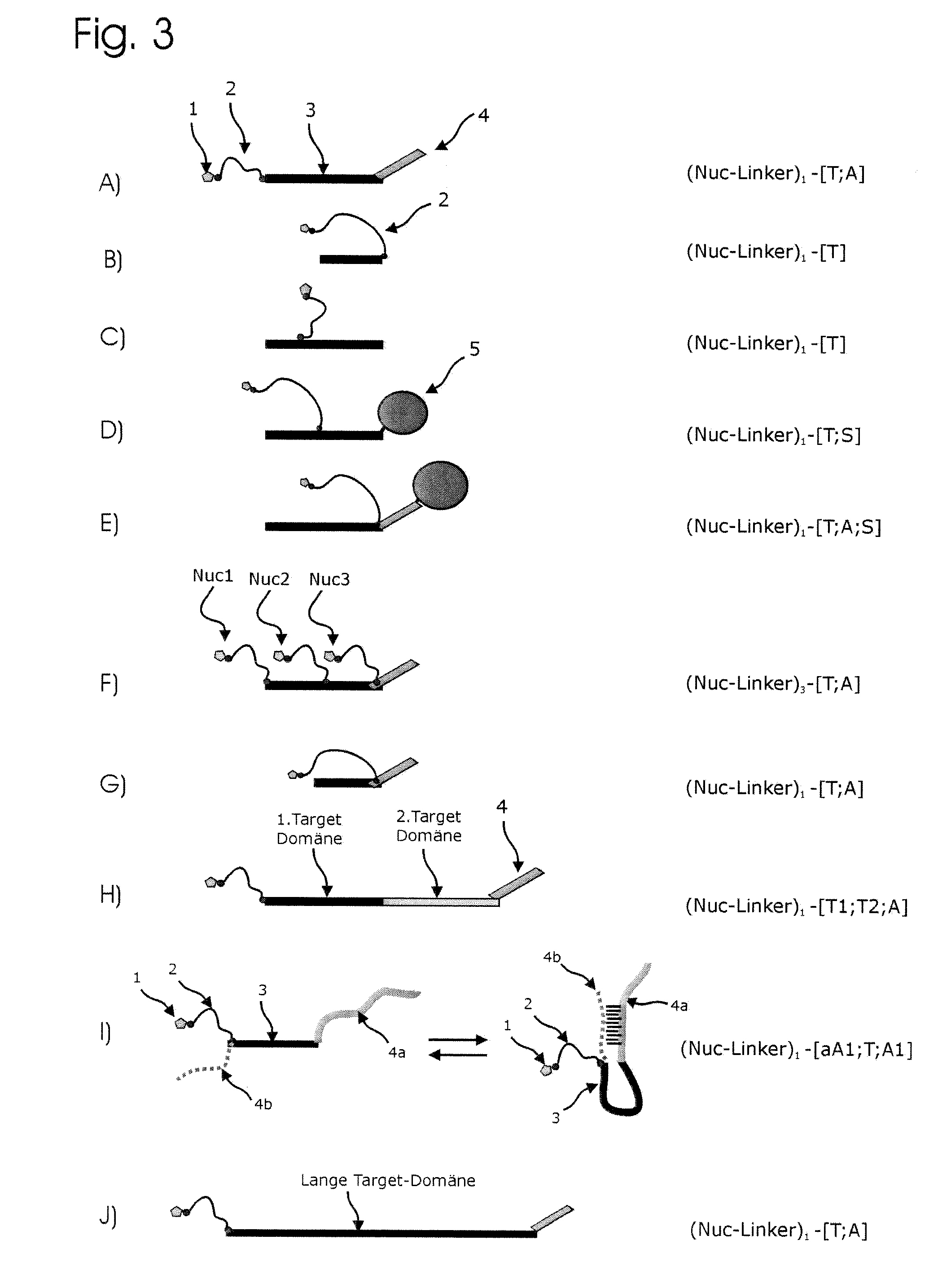 Method and components for detecting nucleic acid chains
