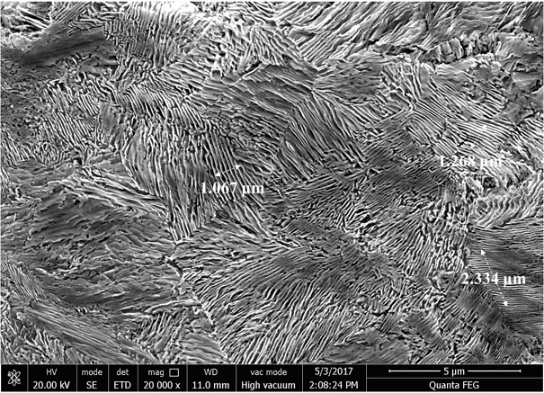 A Stelmer Cooling Method for Improving the Sorbitization Rate of 82b Steel Wire Rod