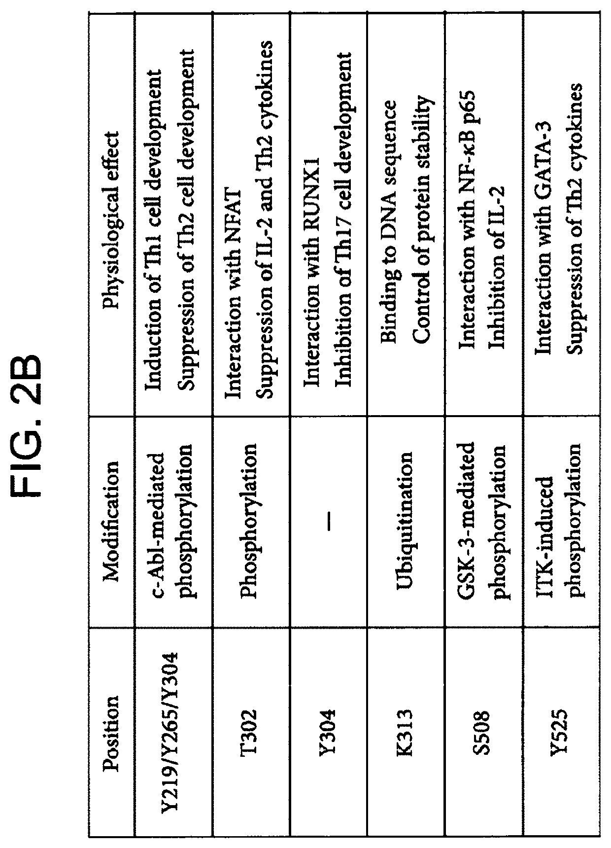 Nucleic acid constructs for co-expression of chimeric antigen receptor and transcription factor, cells containing and therapeutic use thereof