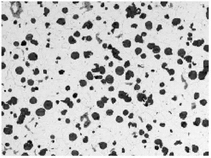 Cover material covering nodularizer in graphite spheroidizing of cast iron