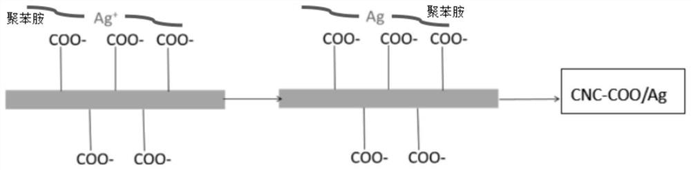 A preparation method of polyaniline-coated silver-loaded nano-microcrystalline cellulose-based conductive ink