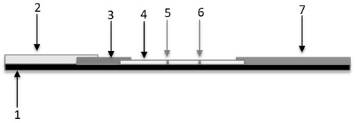 Copeptin antibody preparation and detection establishing method