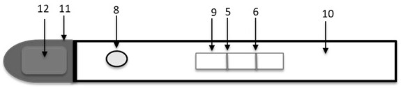 Copeptin antibody preparation and detection establishing method