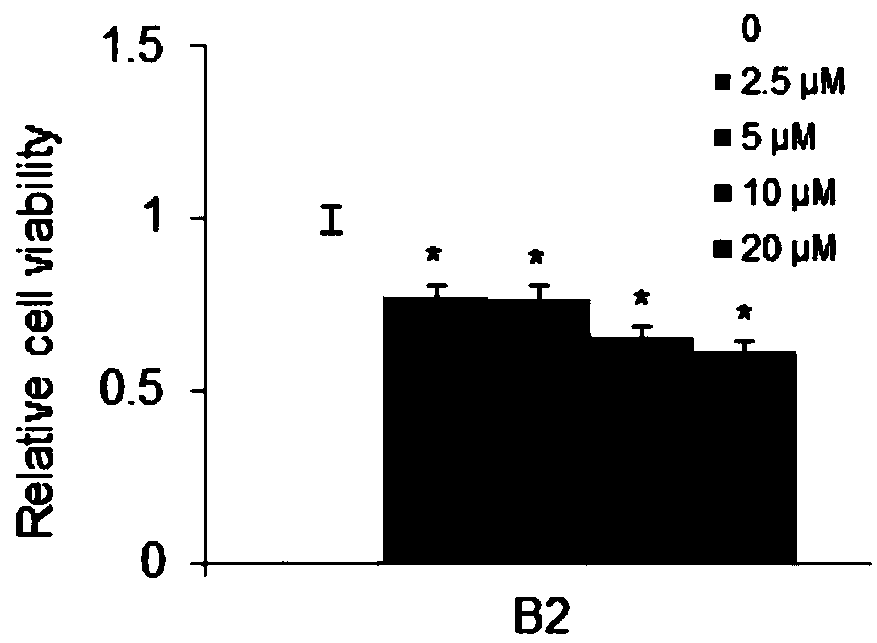 Compound B2 as histone methyltransferase NSD3 activity inhibitor and application thereof