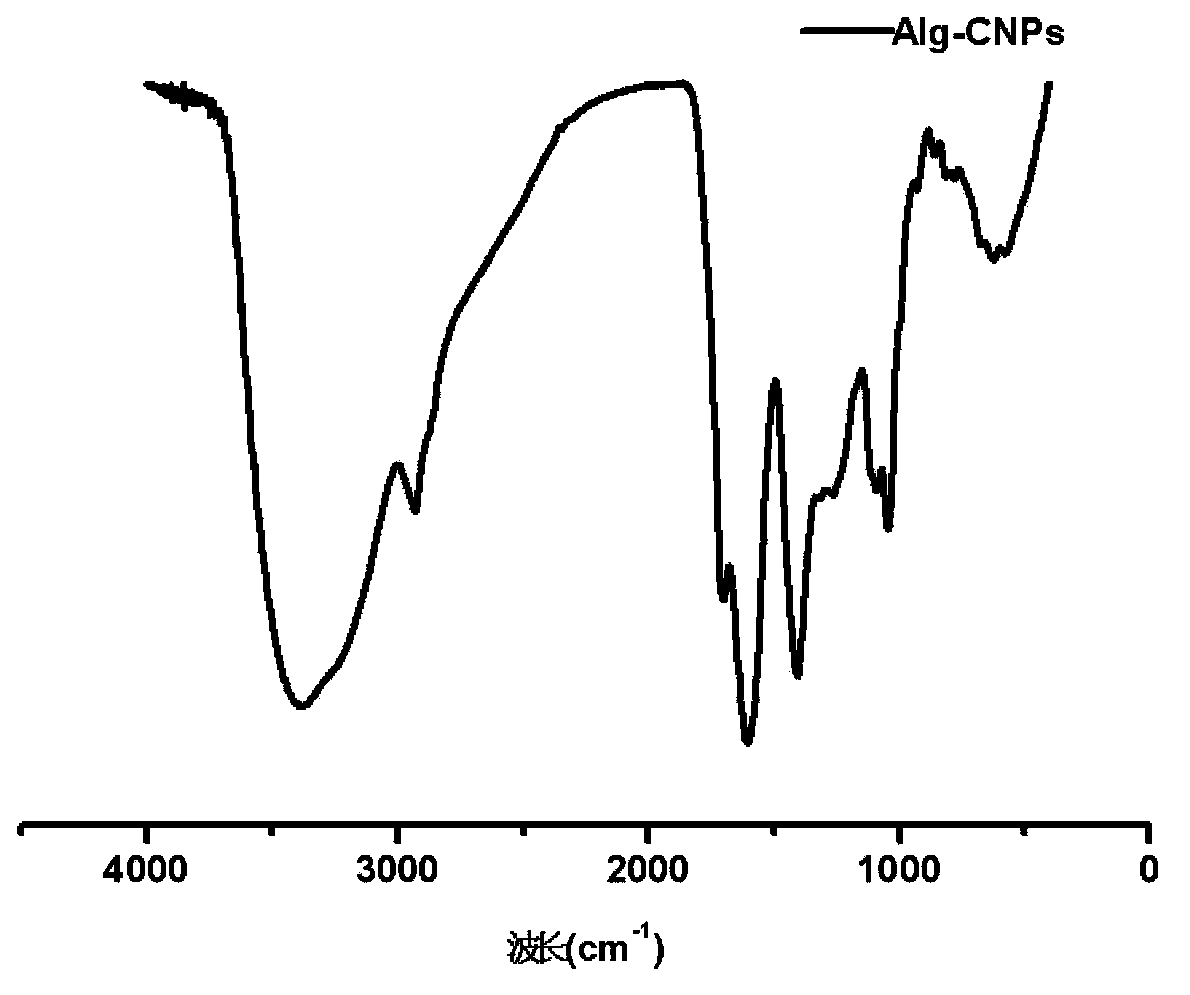 Functional carbon nanoparticles and application thereof