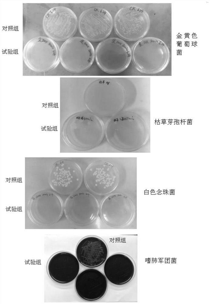 Biological sample safety protective agent and application thereof