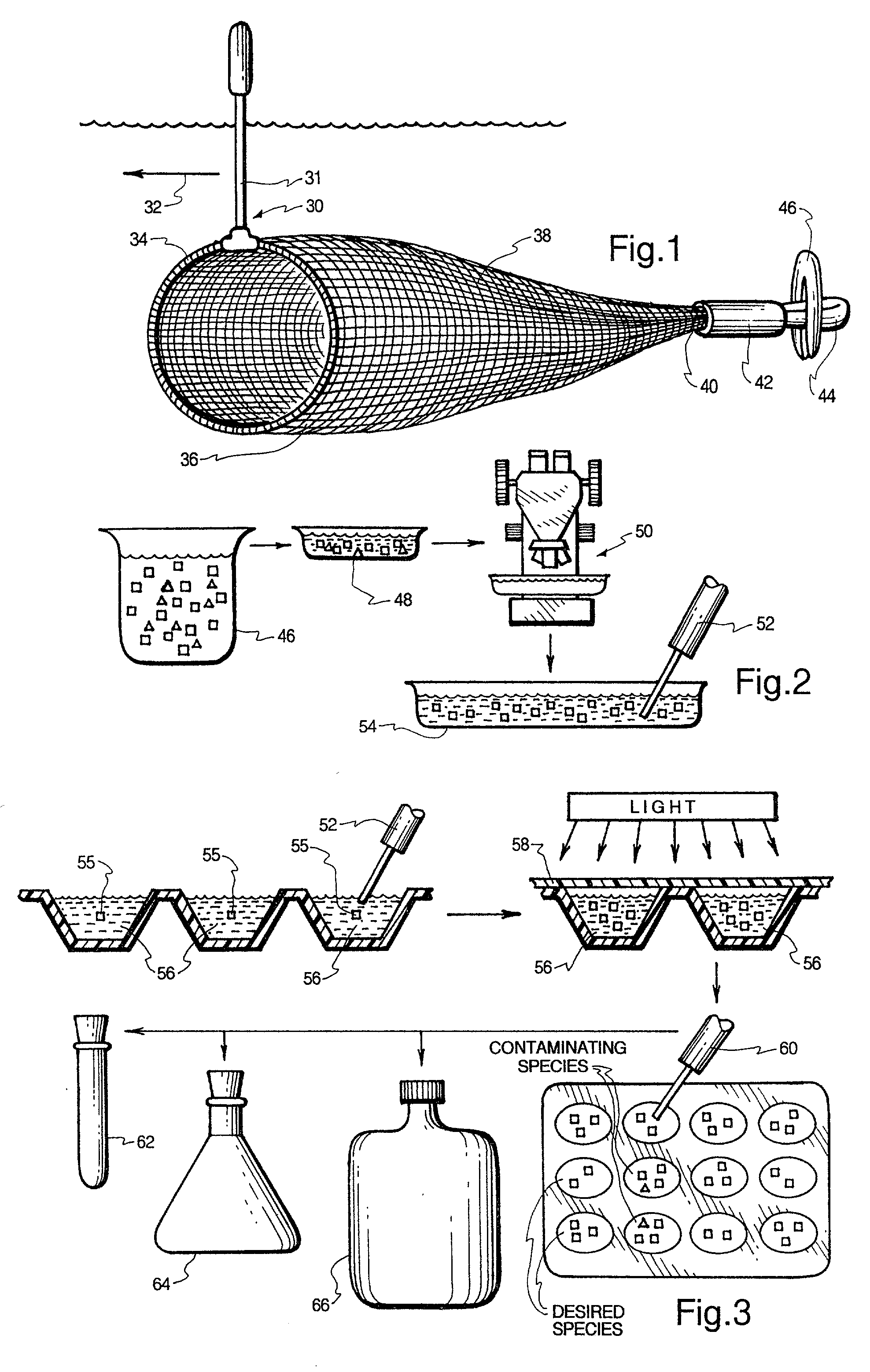 Process and apparatus for isolating and continuosly cultivating, harvesting, and processing of a substantially pure form of a desired species of algae