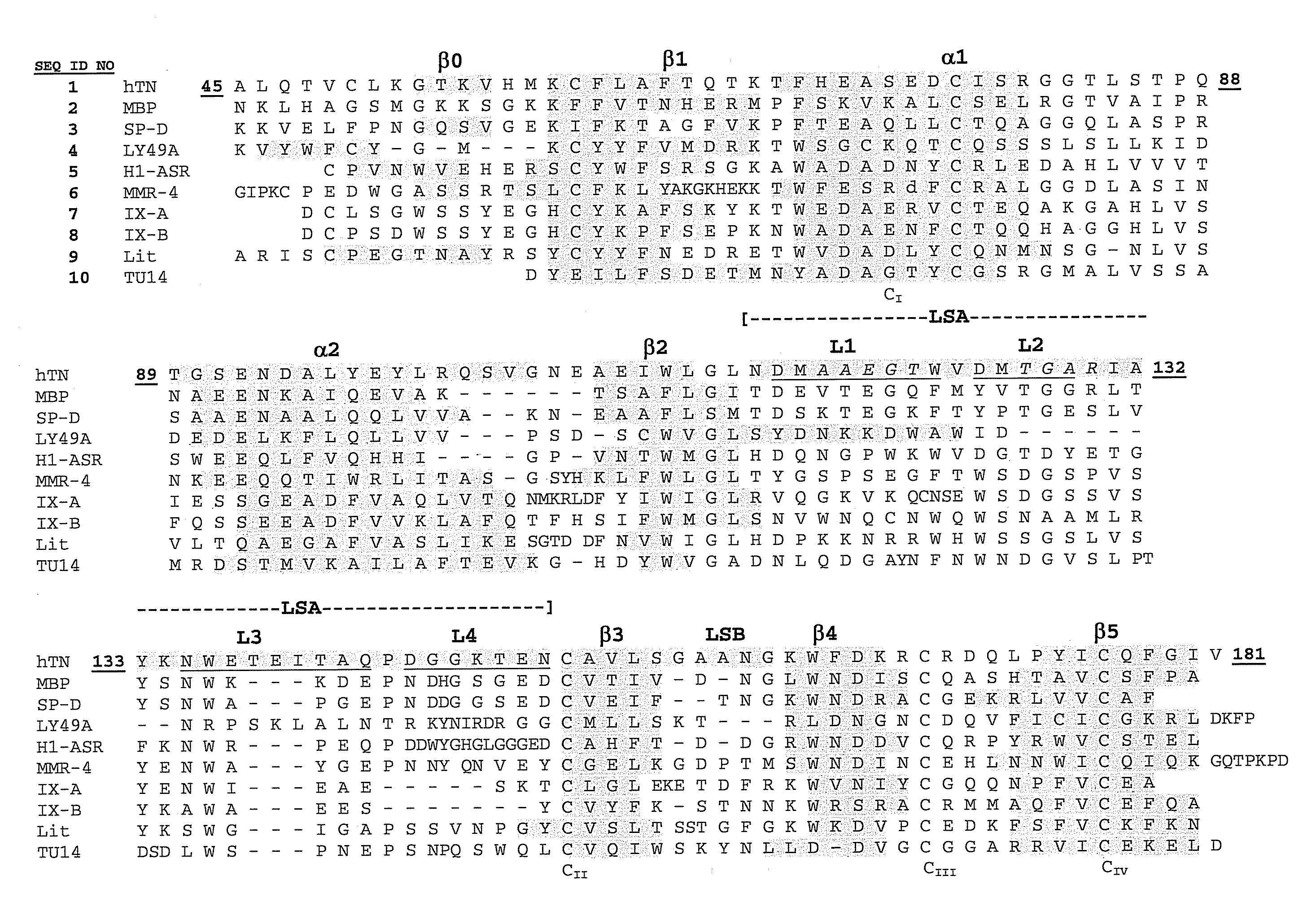Combinatorial Libraries Based on C-type Lectin-like Domain
