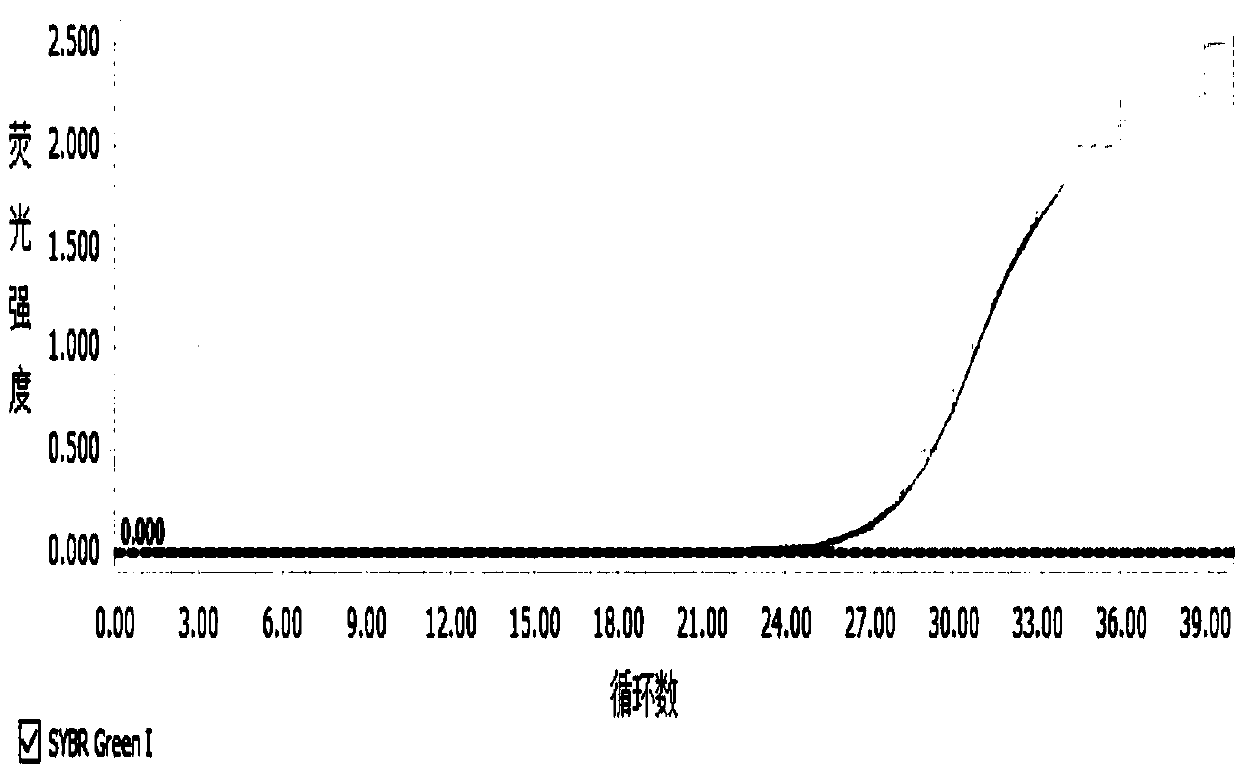 Method for detecting feline calicivirus