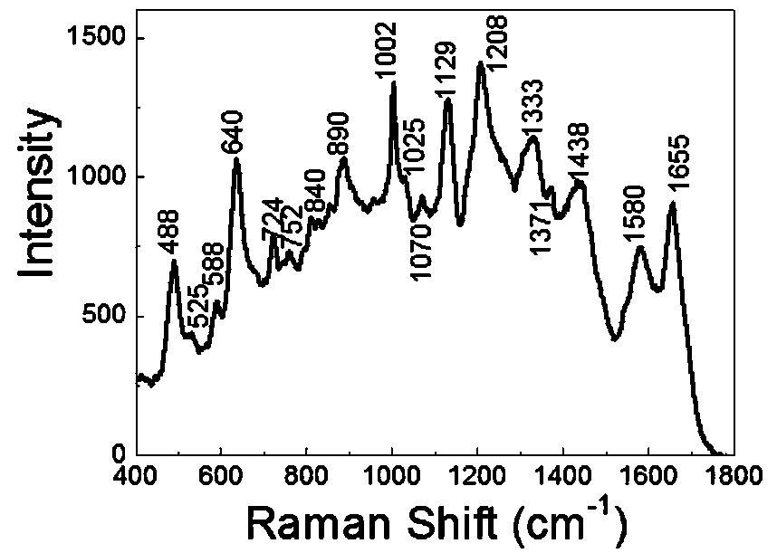 Blood cell quick detection method based on surface enhanced Raman