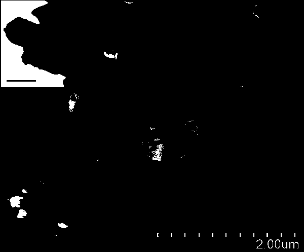 A kind of flaky silver@silver iodate visible light photocatalyst and its preparation method