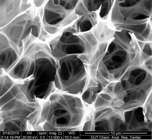 Metal oxide hollow nanometer particle-embedded nitrogen-doped nanometer foamy carbon synthesis method