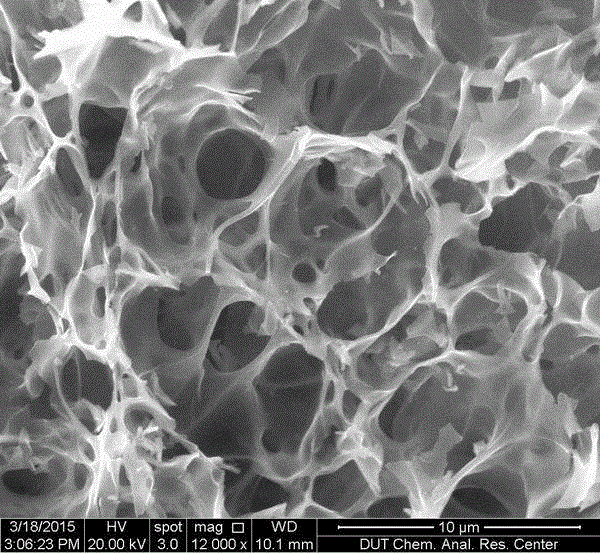 Metal oxide hollow nanometer particle-embedded nitrogen-doped nanometer foamy carbon synthesis method