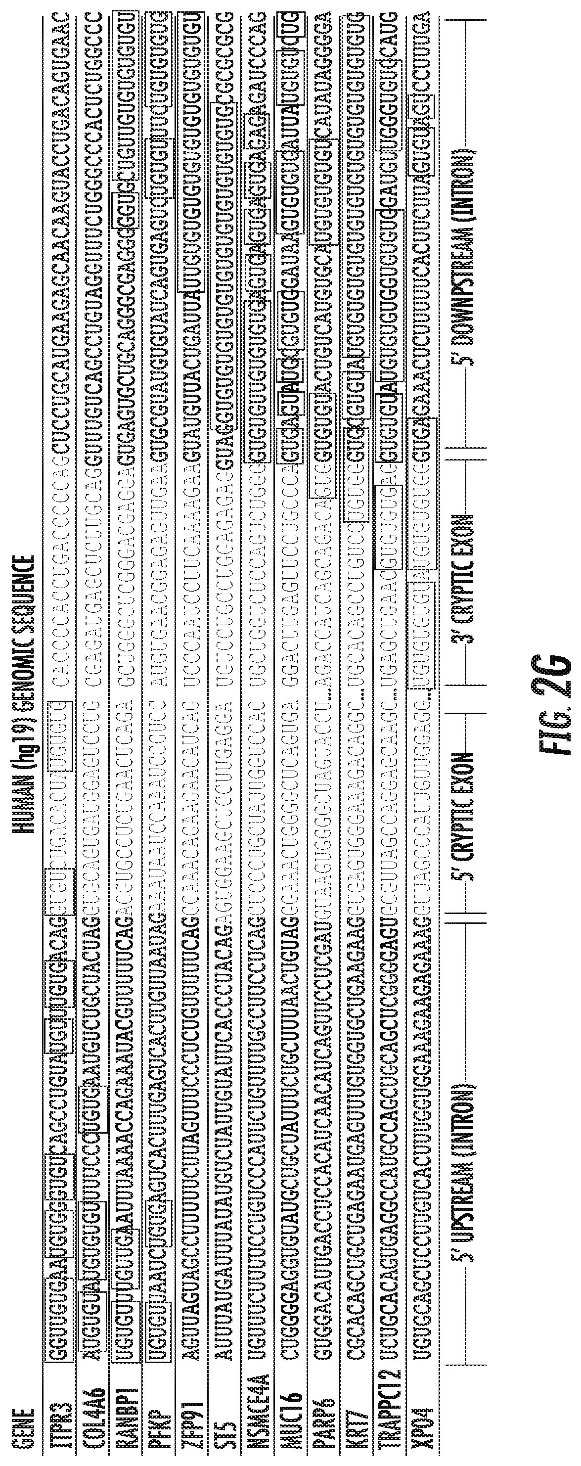 TDP-43 in degenerative disease