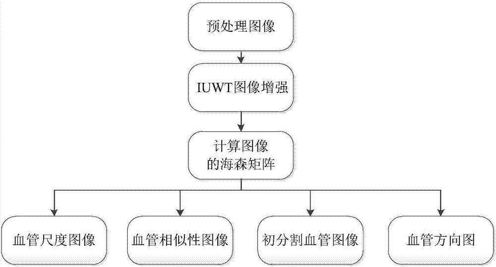 Near-infrared subcutaneous vein segmentation method based on multi-feature clustering