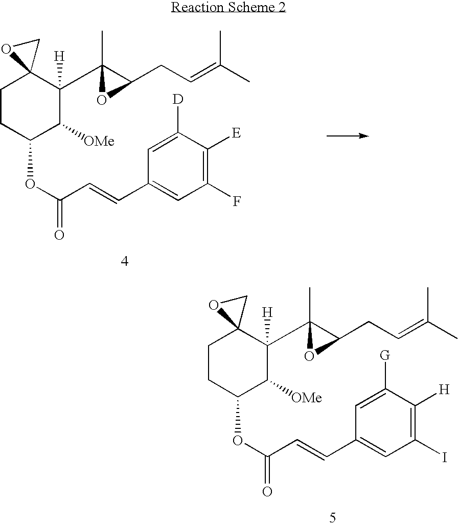 Fumagillol derivatives or method for preparation of fumagillol derivatives, and pharmaceutical compositions comprising the same