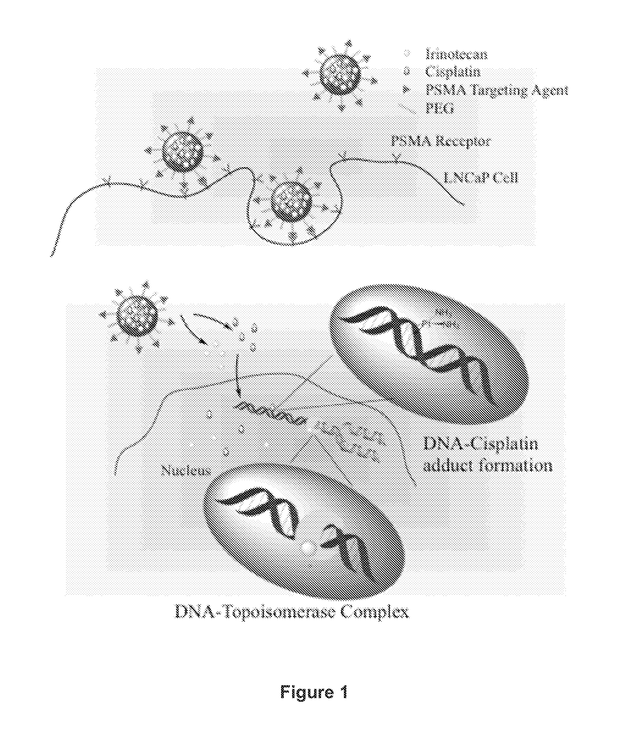 Nanoparticles For Targeted Delivery of Multiple Therapeutic Agents and Methods of Use