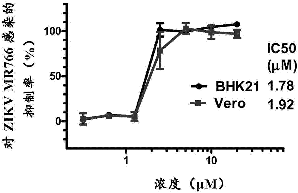 Application of Montelukast sodium in inhibiting infection of Zika virus, dengue virus and yellow fever virus