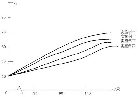 Feed feeding method for ecological pig farm