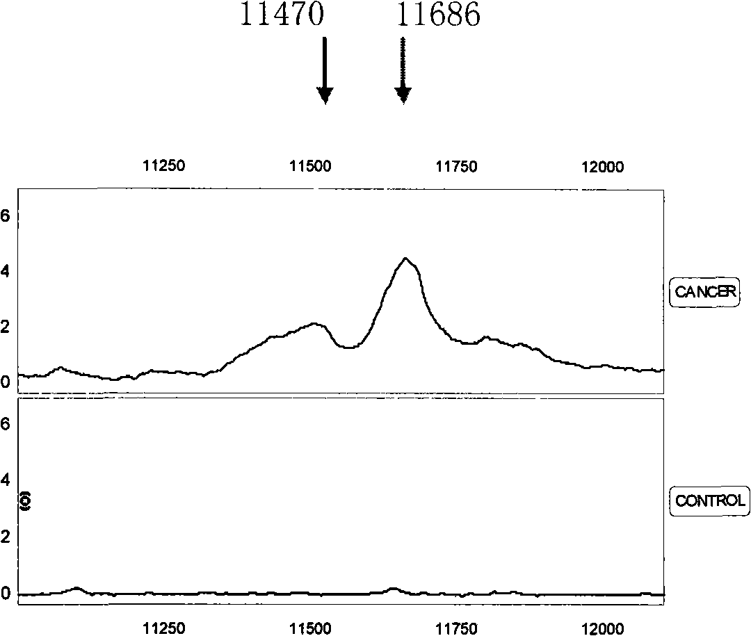 Optimizing mass spectrogram model for detecting nasopharyngeal cancer characteristic protein and preparation method and application thereof