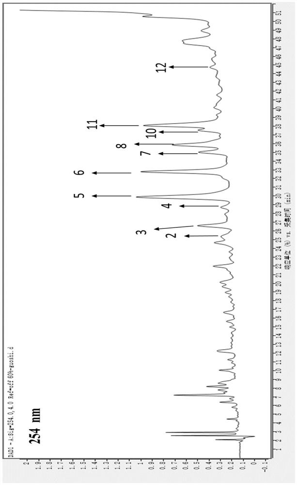 Polygonum viviparum extract as well as preparation method and application thereof