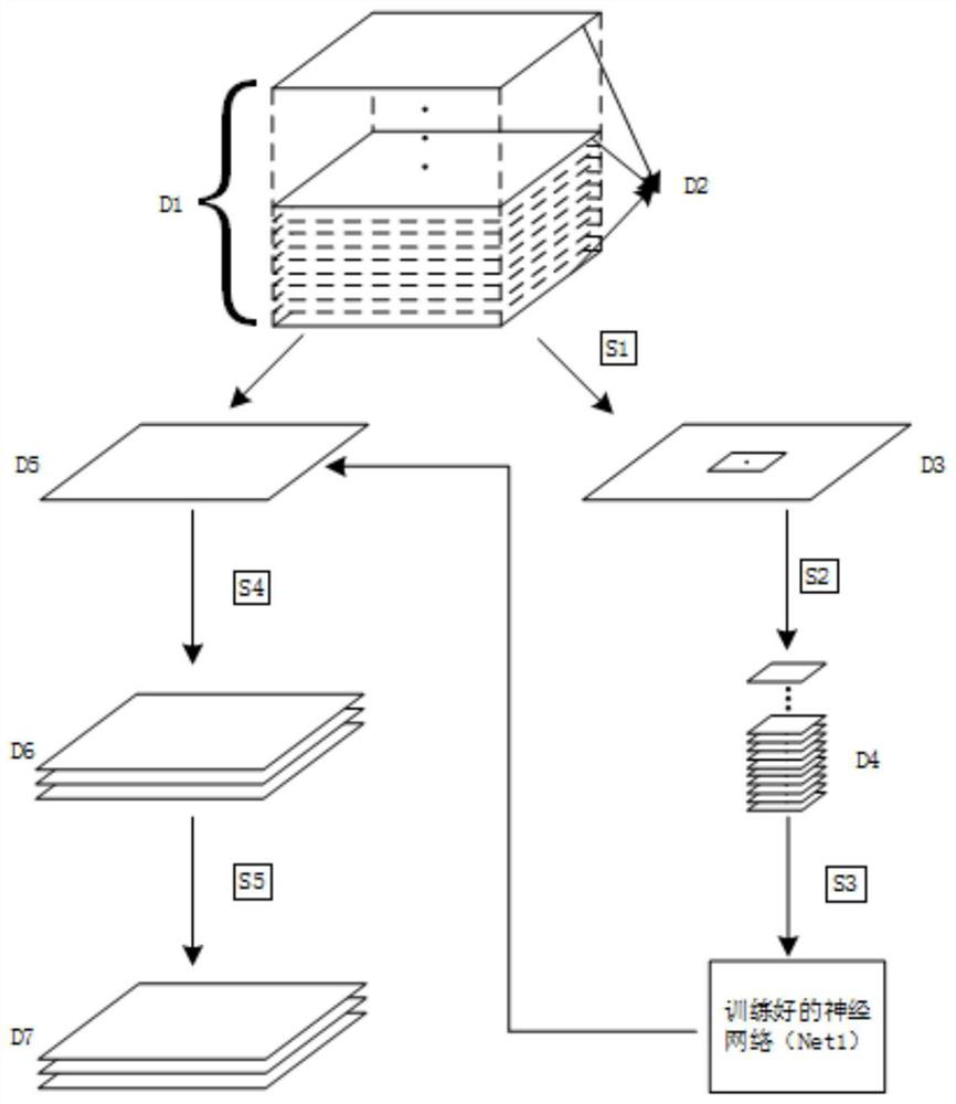 A Semi-Automatic Brain Region Segmentation Method for 3D Cytoarchitectural Images