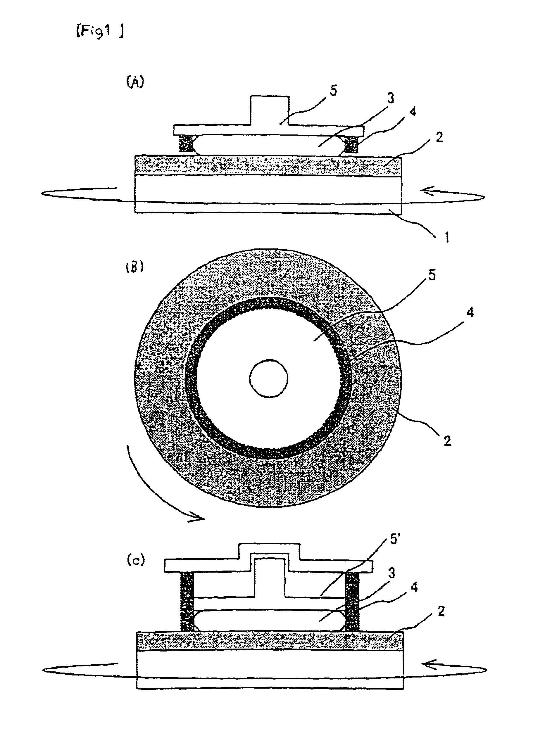 Wafer holding ring for chemical and mechanical polisher