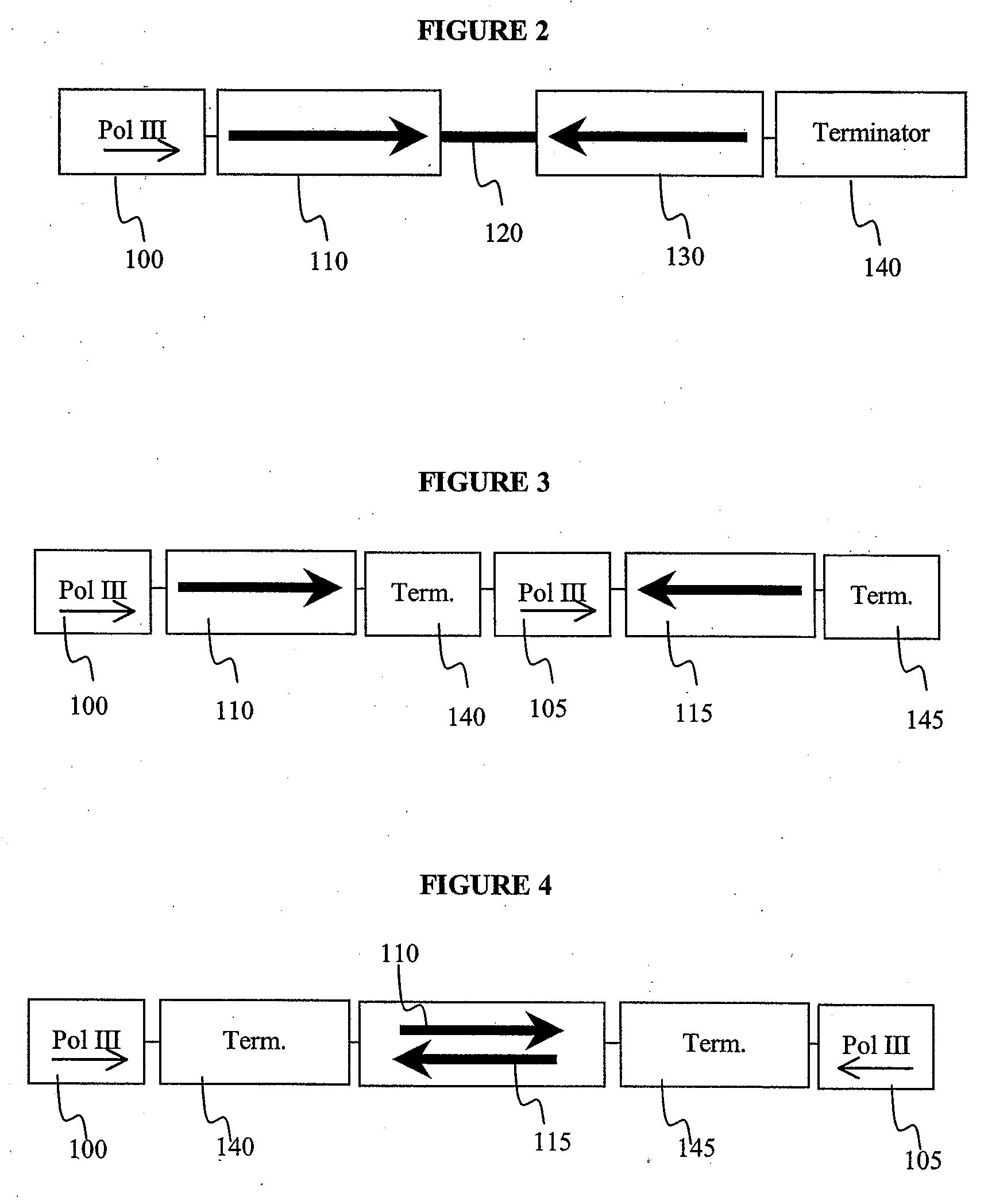 Method for expression of small antiviral RNA molecules within a cell