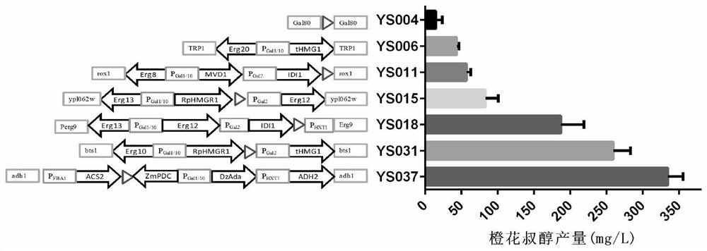 A method for increasing the yield of nerolidol in Saccharomyces cerevisiae