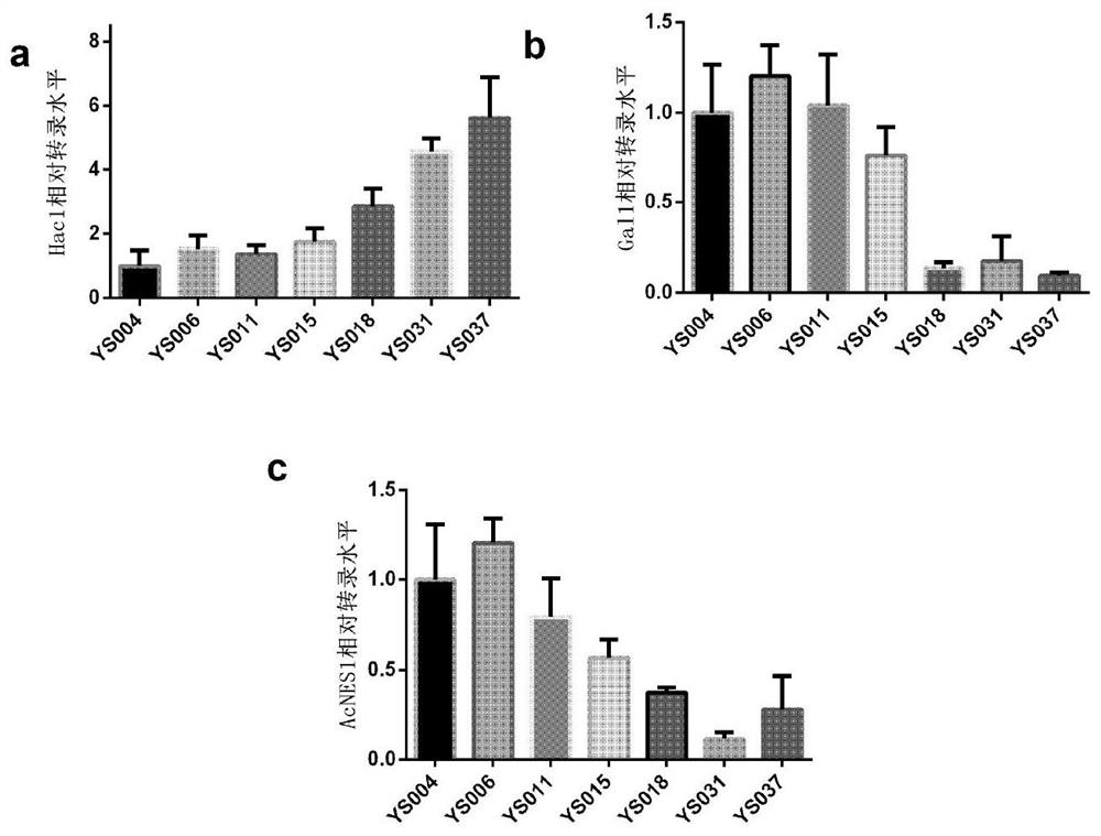 A method for increasing the yield of nerolidol in Saccharomyces cerevisiae