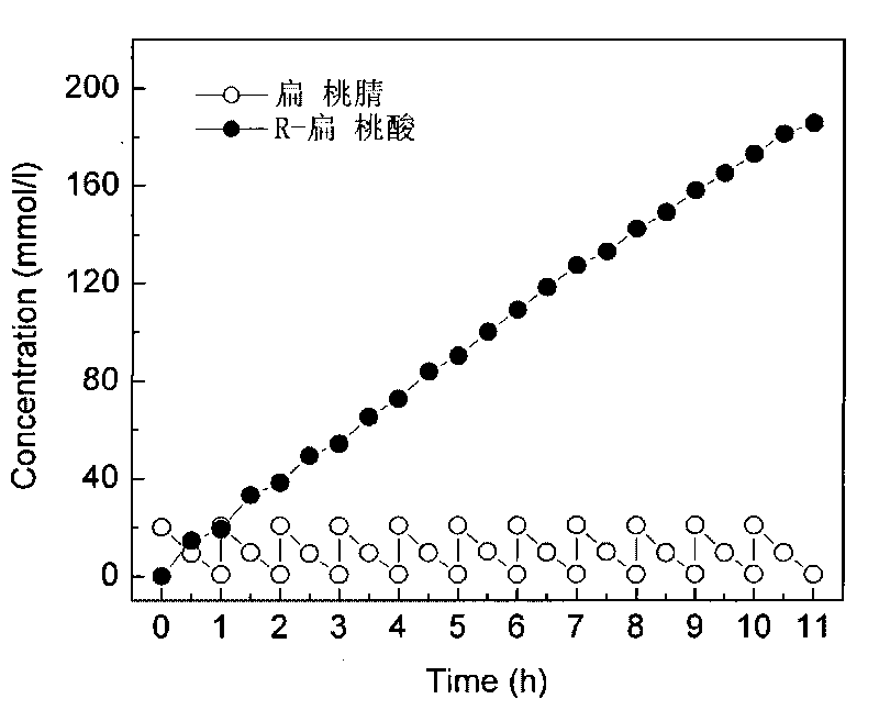 Method for producing R-mandelic acid with biocatalysis and separating and coupling method