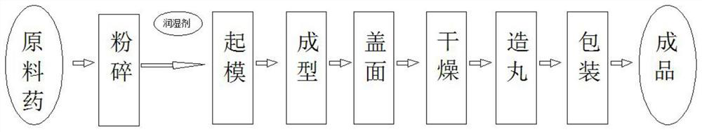 Qi-tonifying and kidney-protecting pill and preparation process thereof