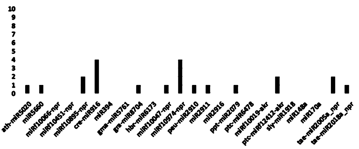 Method for determining plant origin small RNA in human body by detecting faeces