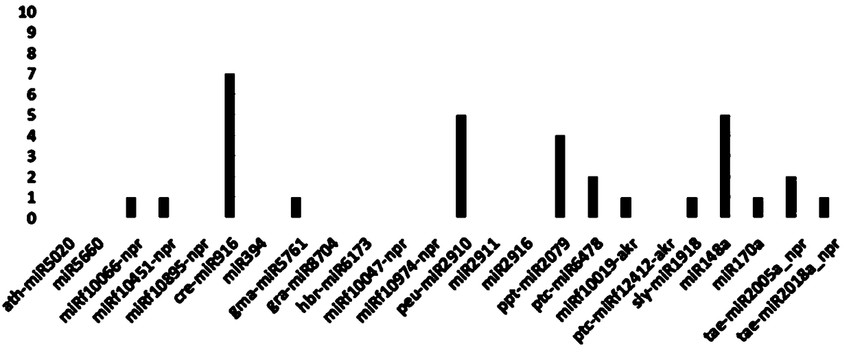 Method for determining plant origin small RNA in human body by detecting faeces