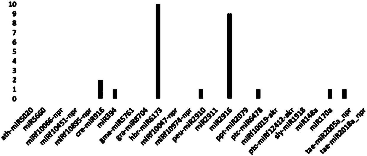 Method for determining plant origin small RNA in human body by detecting faeces