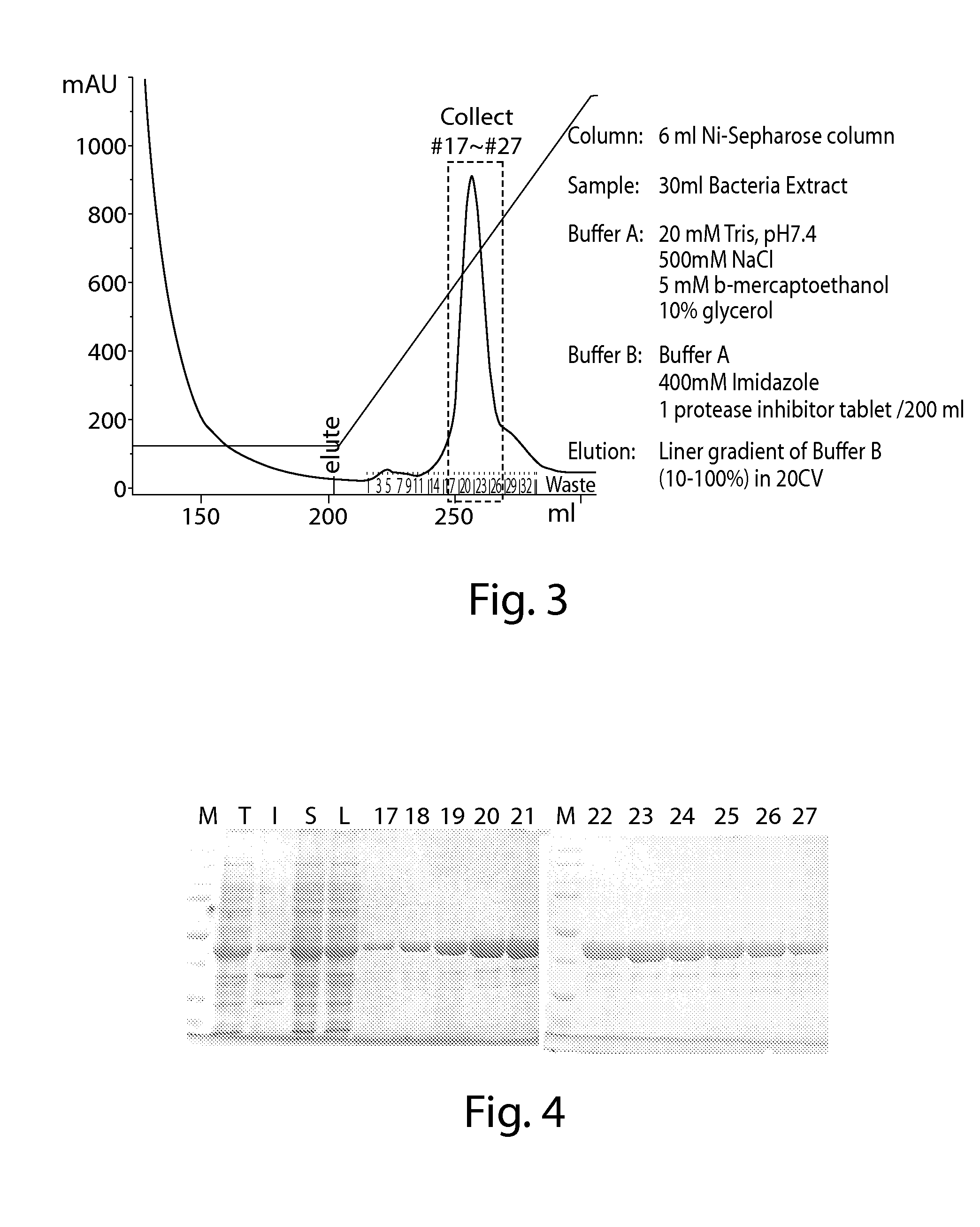 Methods and compositons for cell-proliferation-related disorders