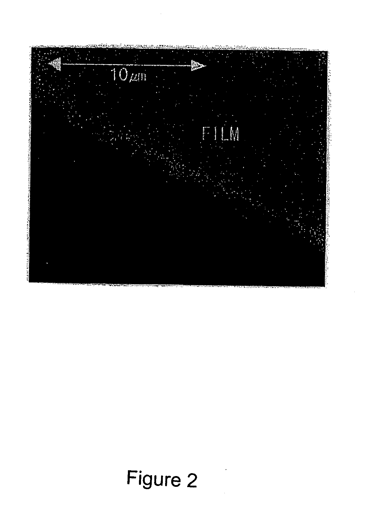 Luminescent semi-conductive polymer material, method of preparing the same and organic light emitting element having the same