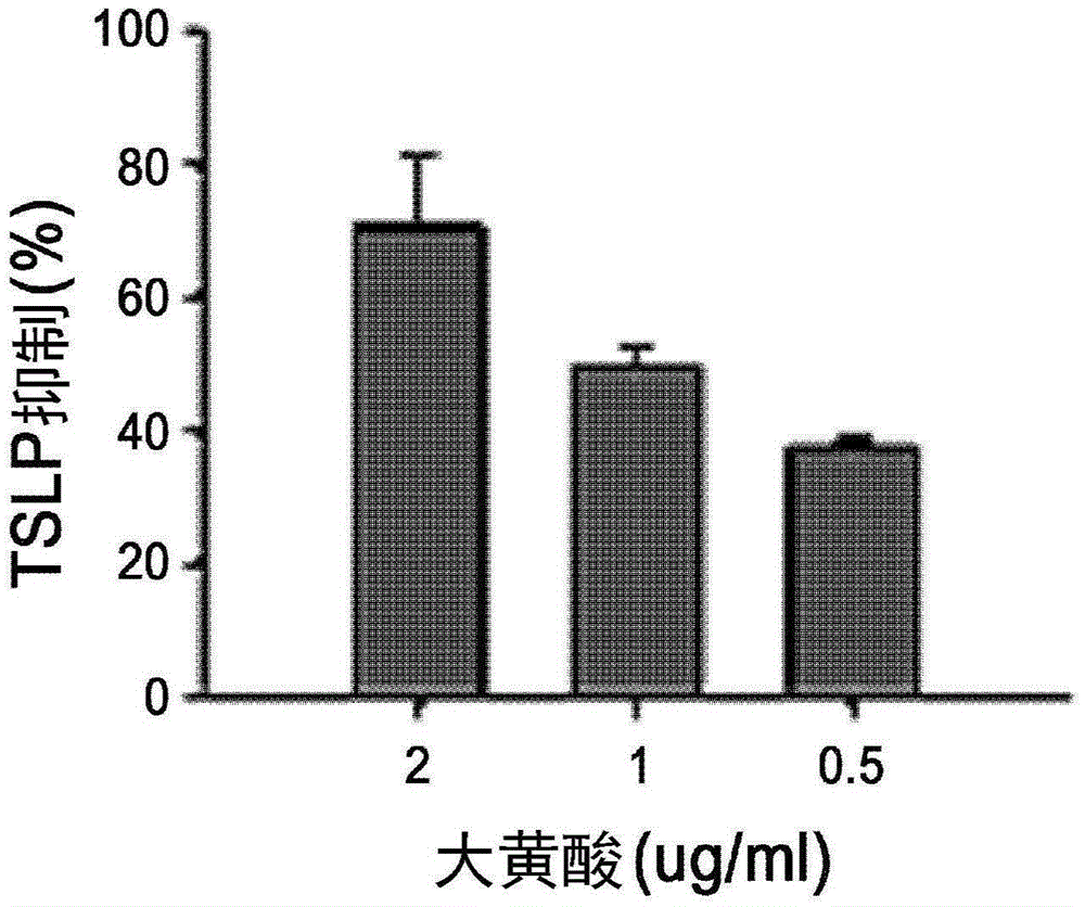 Composition capable of inhibiting TSLP secretion and alleviating allergic diseases