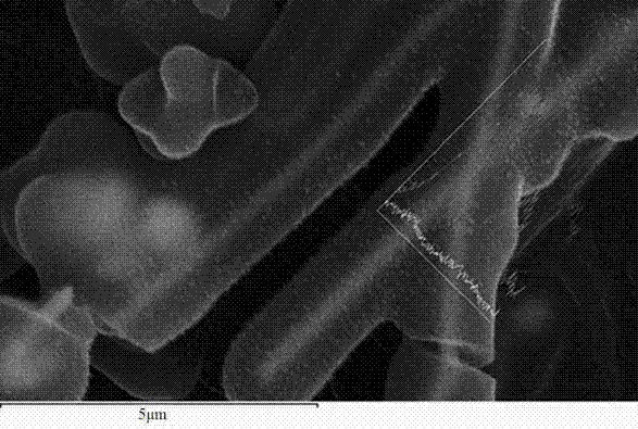 A kind of fuel cell catalyst with nano cable as carrier and preparation method thereof