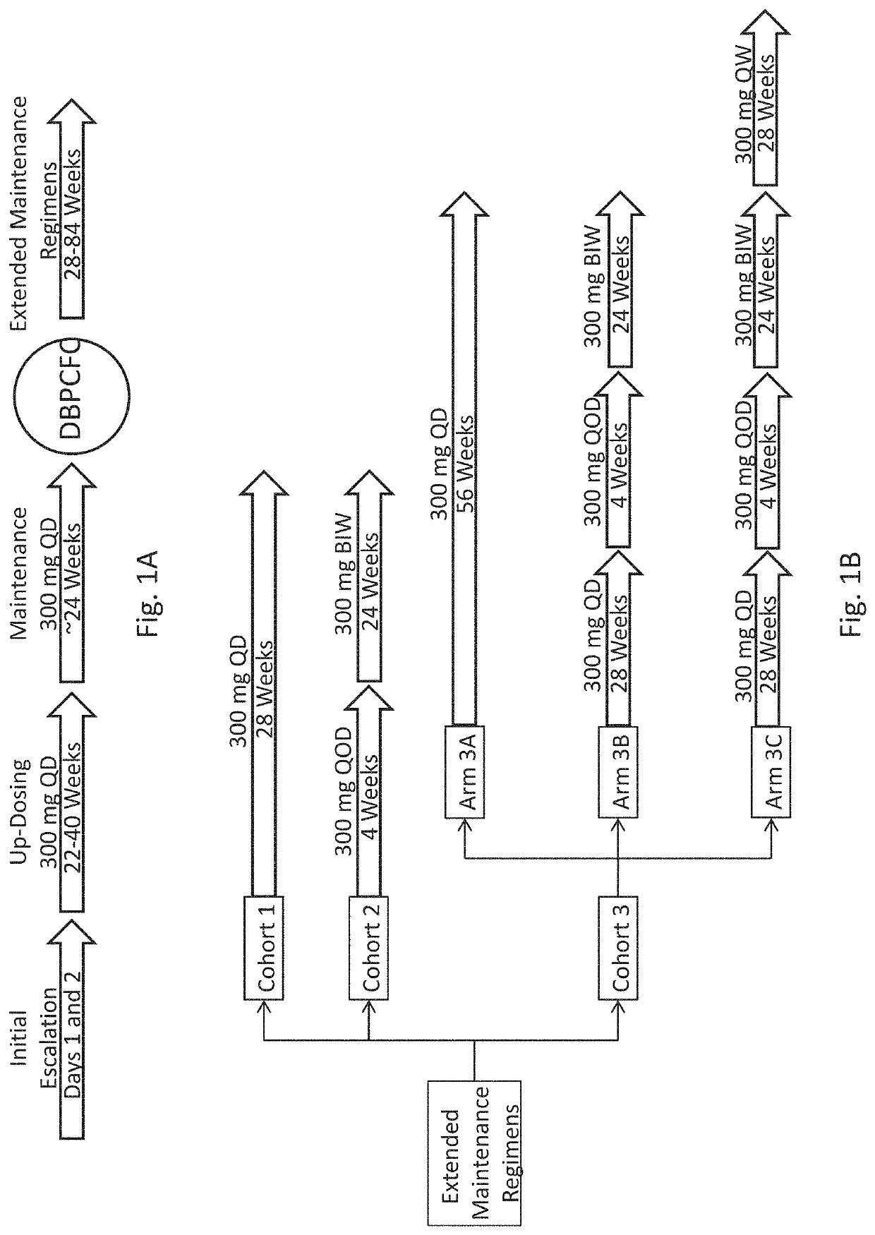 Peanut oral immunotherapy with maintenance dose