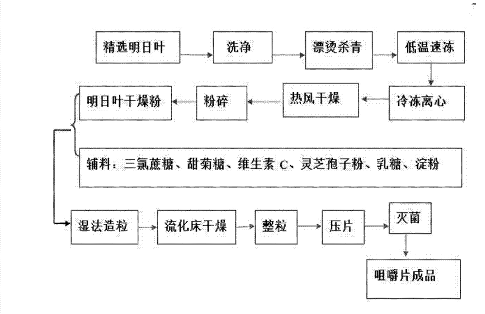 Angelica keiskei health-care chewable tablet and preparation method thereof