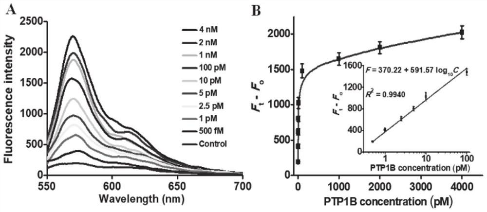 Tyrosine phosphatase biosensor as well as detection method and application thereof