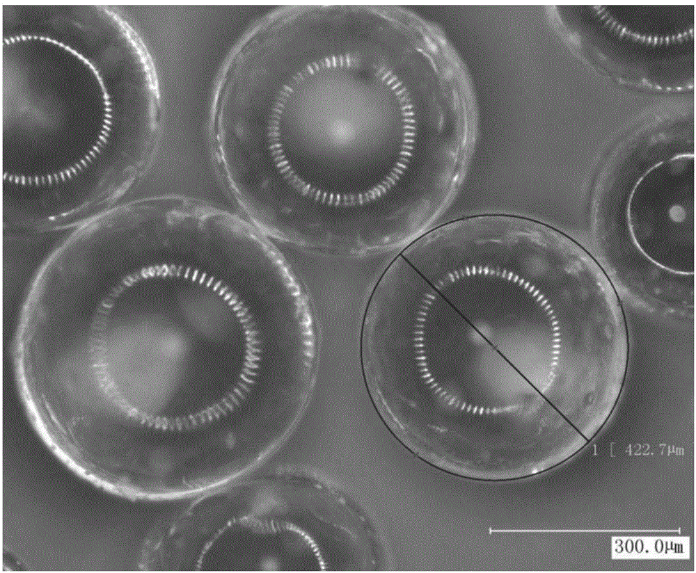 Preparation method of drug-loadable polyvinyl alcohol eluted microspheres