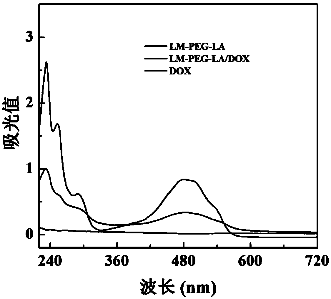 Polyethylene glycol-lactobionic acid modified aminated hectorite nano particle as well as preparation method and application thereof