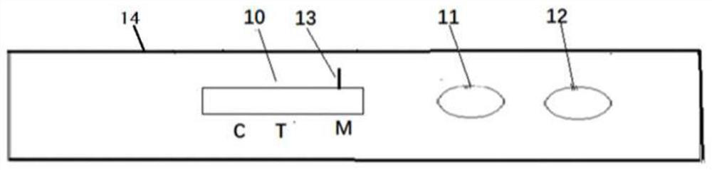 Rapid quantitative detection card for Abrin toxin