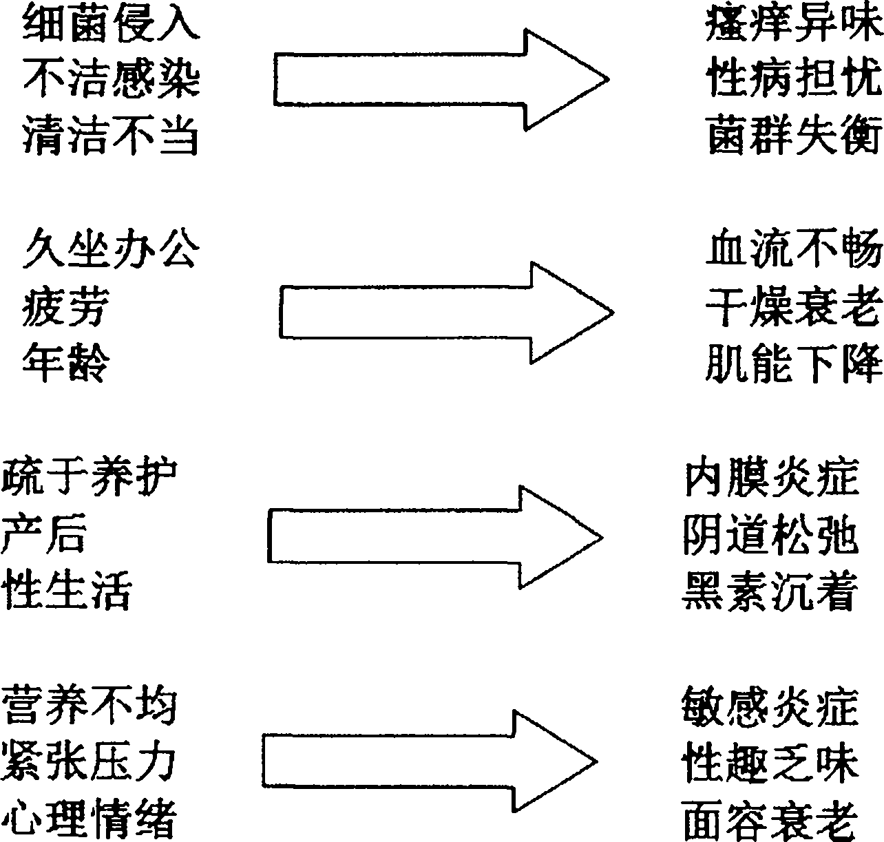 Plant herbal nursing gel for cleaning, conserving and protecting female and preparation method thereof