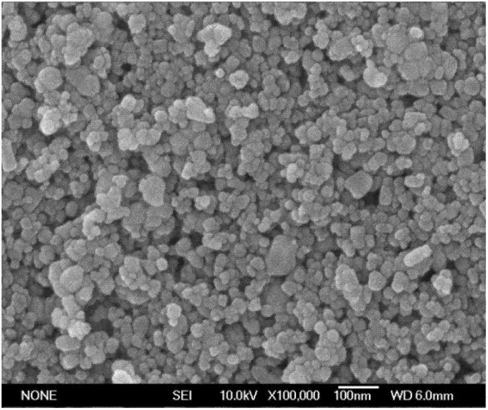 Rapid preparation method of screen printing paste for dye-sensitized solar cell photoanode